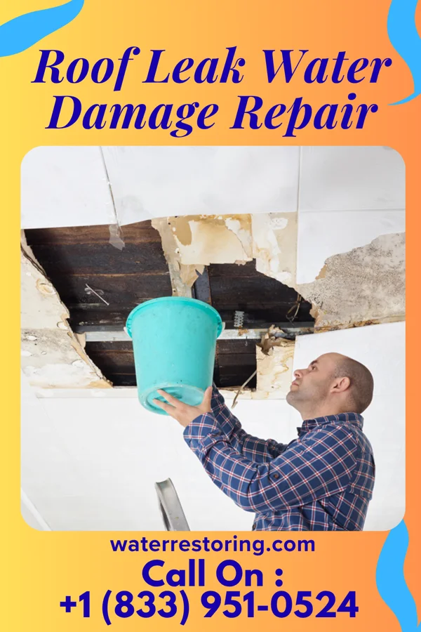 Roof Leak Water Damage Repair in Ashland City, TN